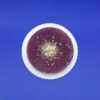 Cucoriedkova vega torta raw
